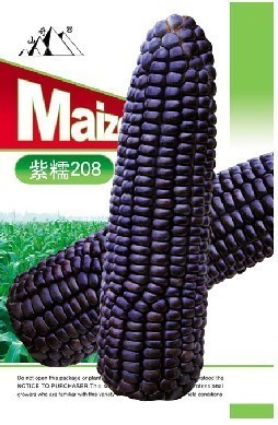 黑粘玉米種子 高產早熟，鮮食香甜粘的理想選擇
