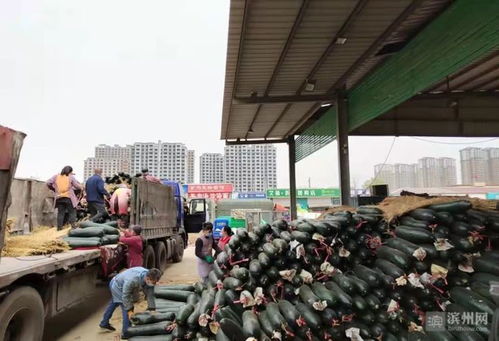 保供穩價惠民生，抗擊疫情——濱州供銷在行動