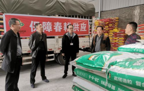 東興區強化監督保障 助推開局之年社會經濟穩定發展